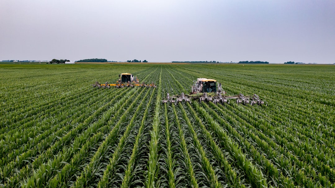 Crafting Captivating Headlines: Your awesome post title goes here Detasseling Corn in Central Illinois